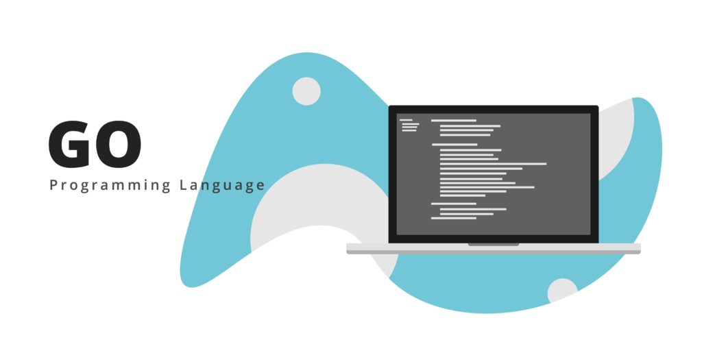 What Is Go Programming Language and When to Use It - Skywell Software